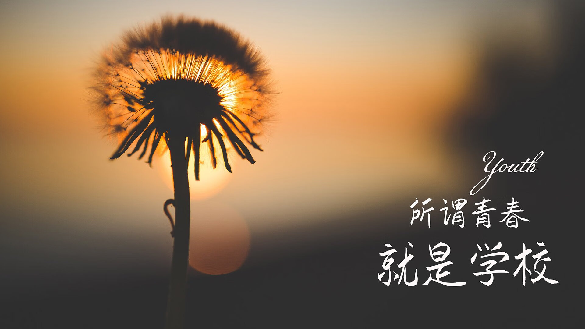 钢铁森林的驯服术，文班亚马与鹈鹕如何编织战术之网压制广东