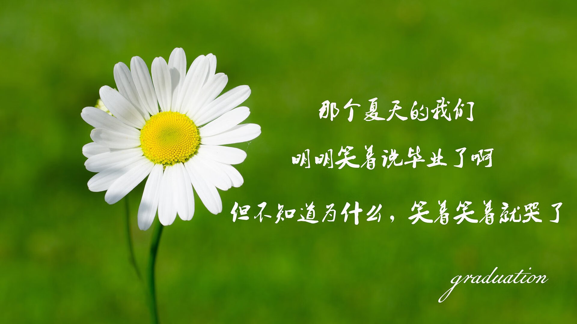 钢铁森林的驯服术，文班亚马与鹈鹕如何编织战术之网压制广东